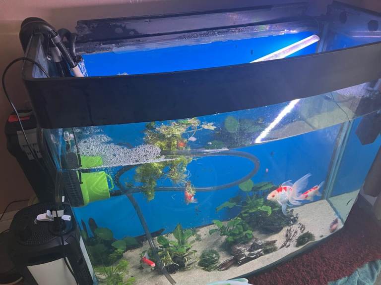 300 litre aquarium ( no lid or accessories)