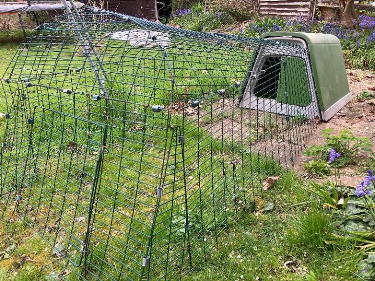 Hutch for guinea pigs / rabbits with run