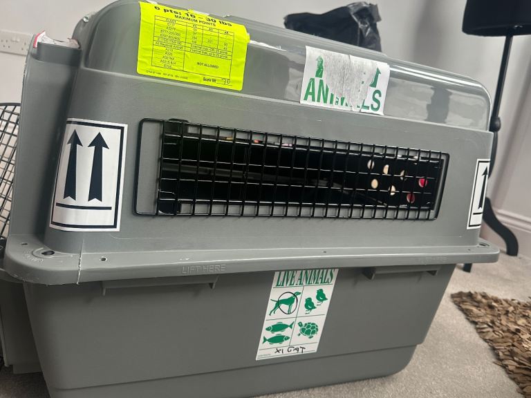 Pet Crate, Carrier, litterbox plus more!!