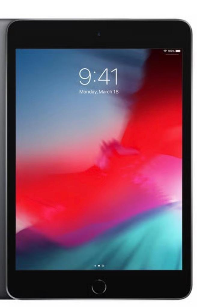Apple iPad Mini 5th Gen (A2124); 64GB - iOS 26.1