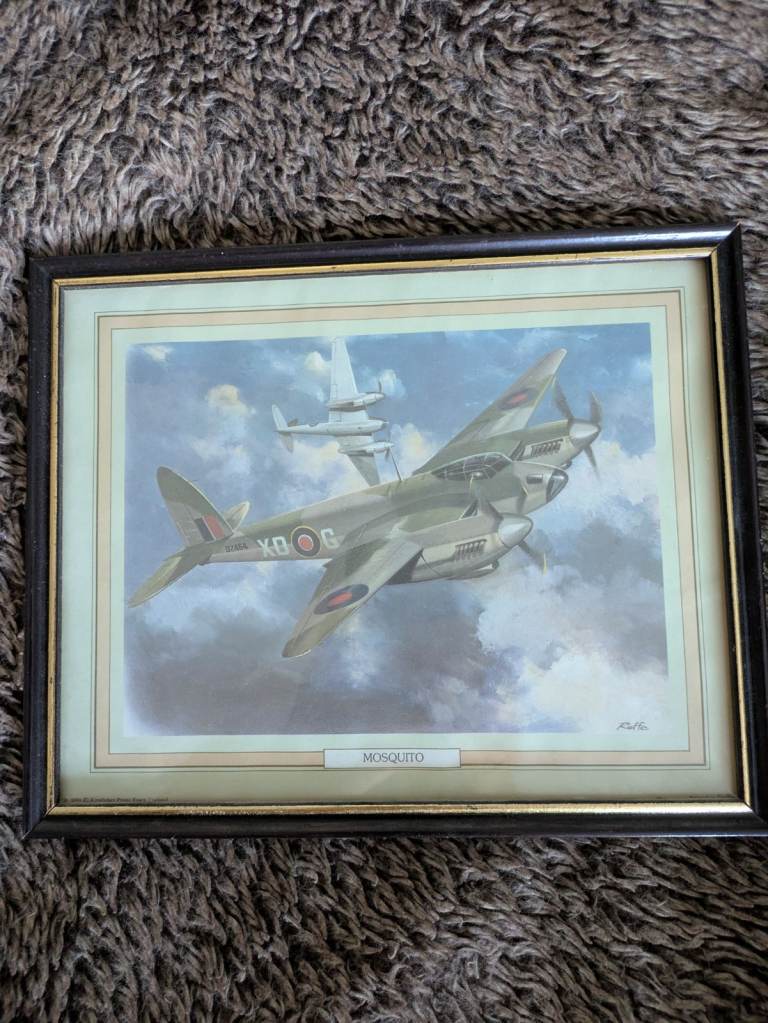 image for Mosquito fighter plane