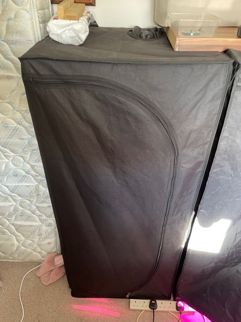 Full grow tent set up