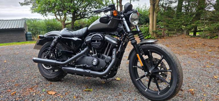 Harley-Davidson, SPORTSTER IRON, 2019, 883 (cc)
