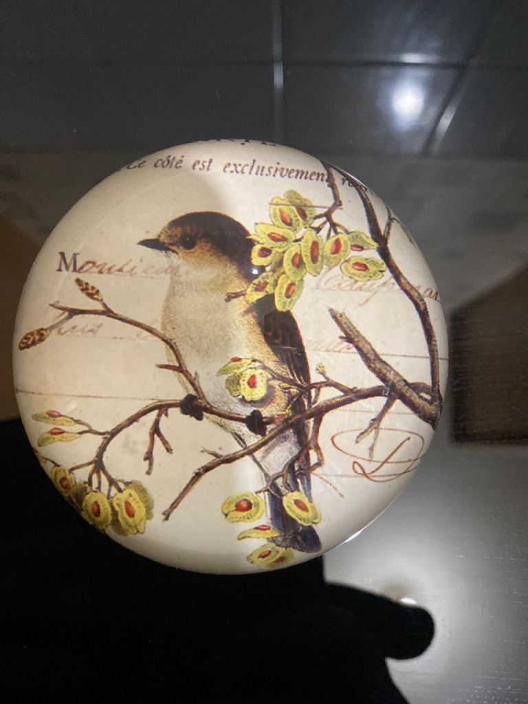 Paperweight with bird