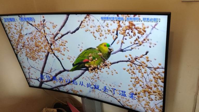 Repair sell TV CCTV VCR DVD game washer dryer fridge freezer cooker microwave oven toilet boiler 