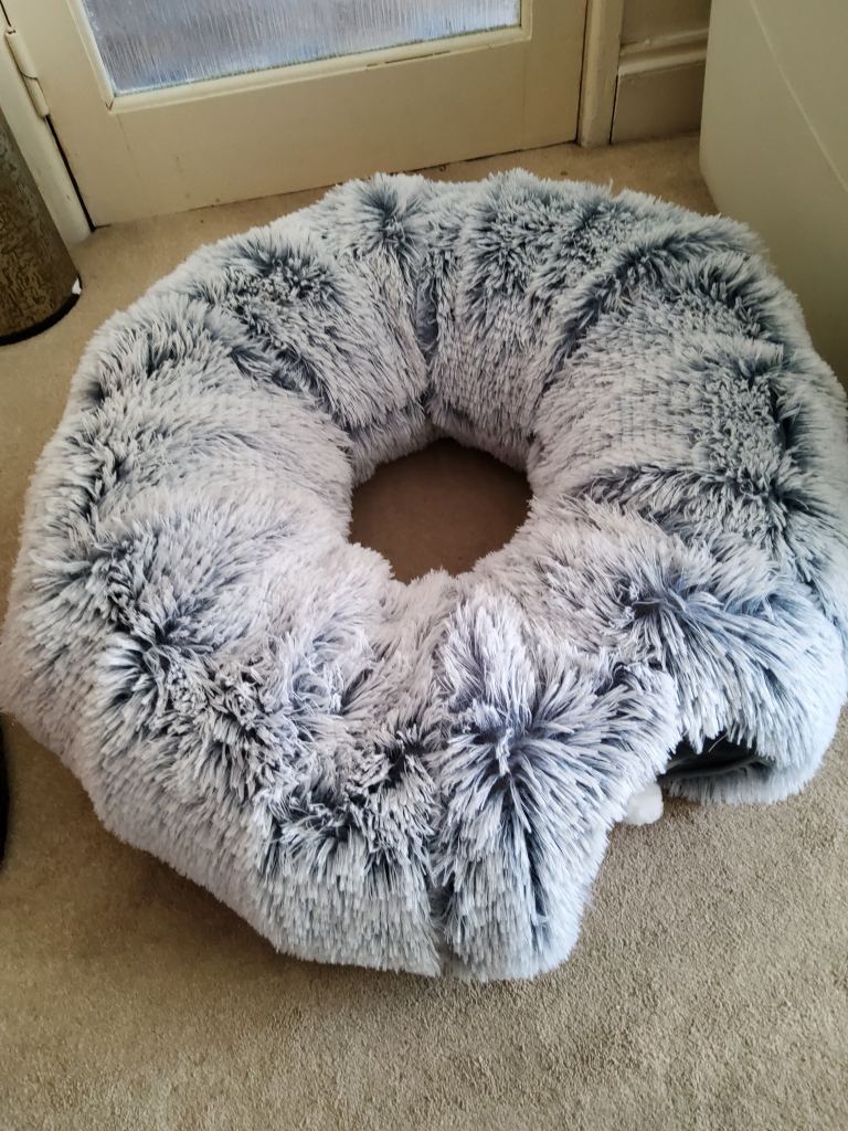 Furry cat tunnel comes apart 