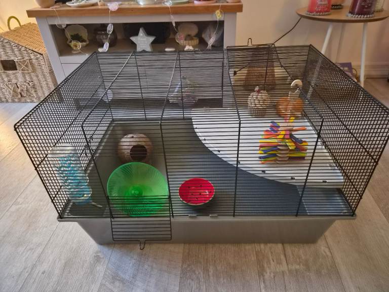 Large Hamster Cage with Accessories - Ready for a New Pet