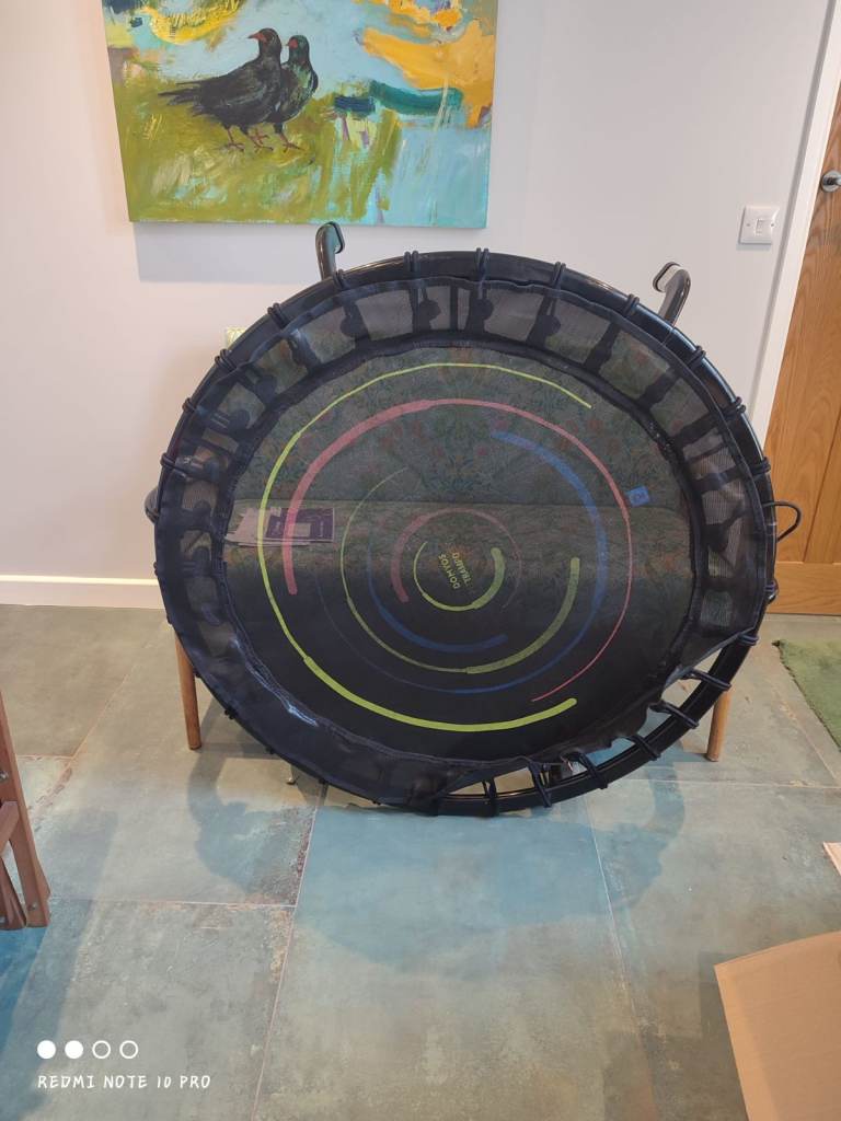 Mini trampoline/ rebounder 