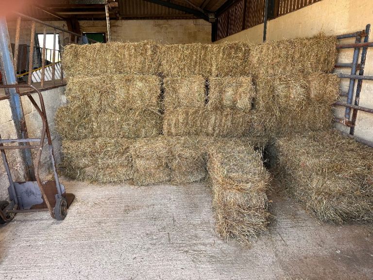 Square hay bales