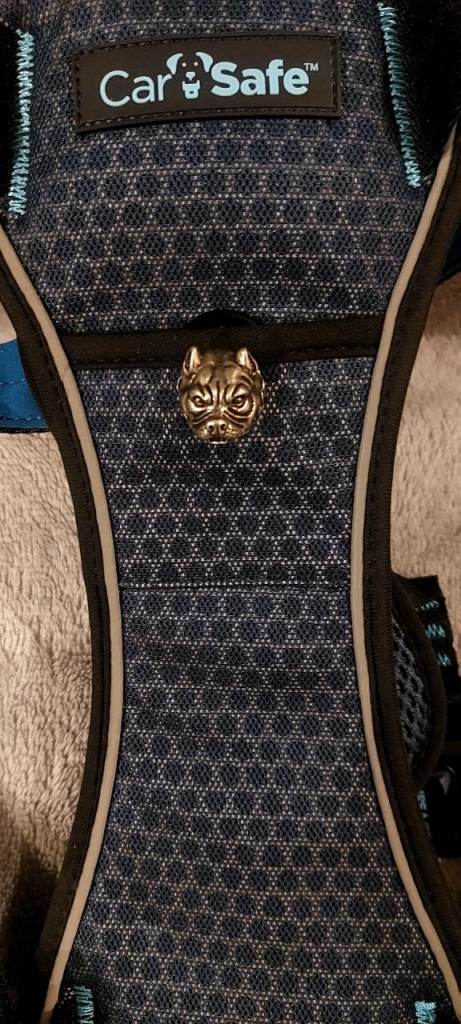 New personalized, unique harness (size L)