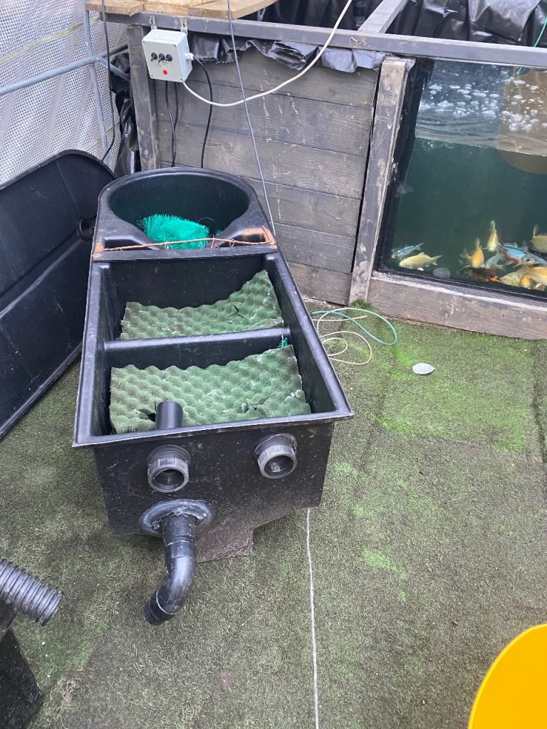 Filter box for a koi pond 