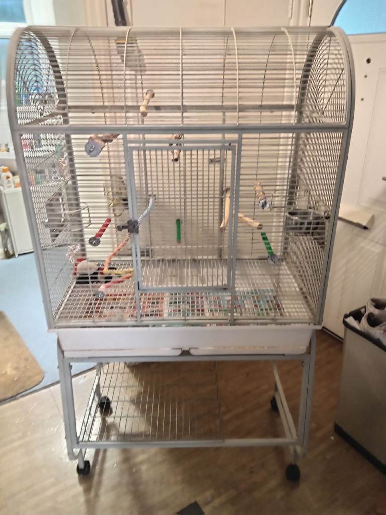 Parrot/bird cage 