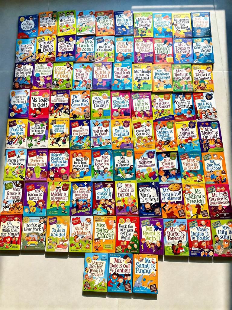 Huge Collection of Mr. Gum My Weird School Books – Good Condition