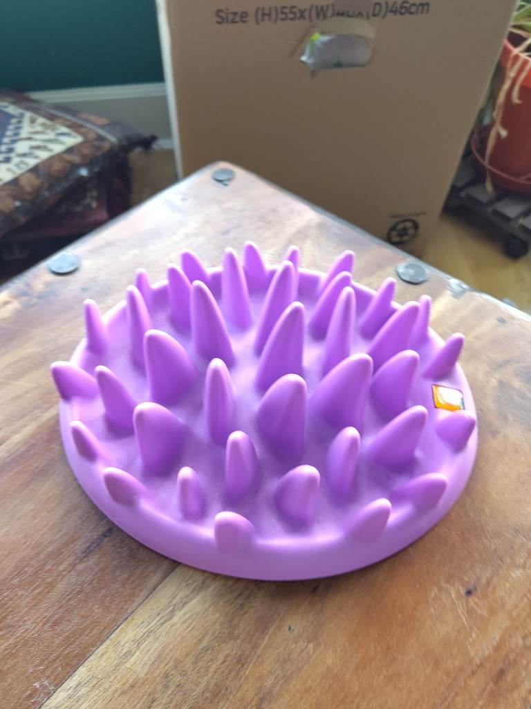 Slow Feeder for Cats or Dogs