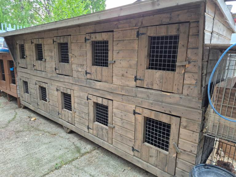 Pet cage 