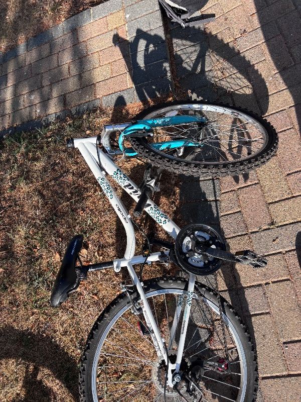 Mountain Bike - White and Blue, Good Condition