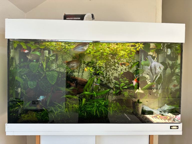 Juwel 125 Rio full setup including fish. 