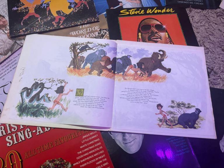 Vinyl Record collection + Box and Key 