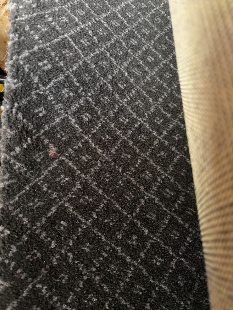 Carpet 2m x 4m wide grey £30