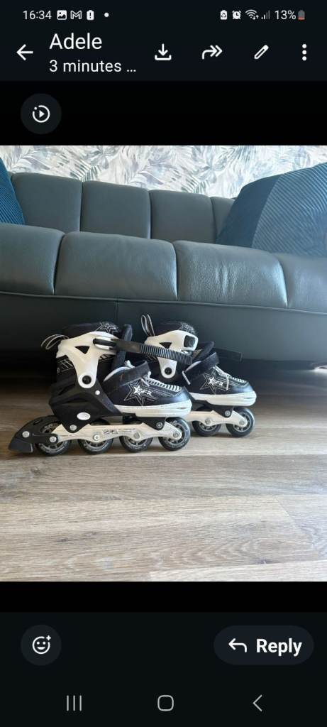 Roller blades