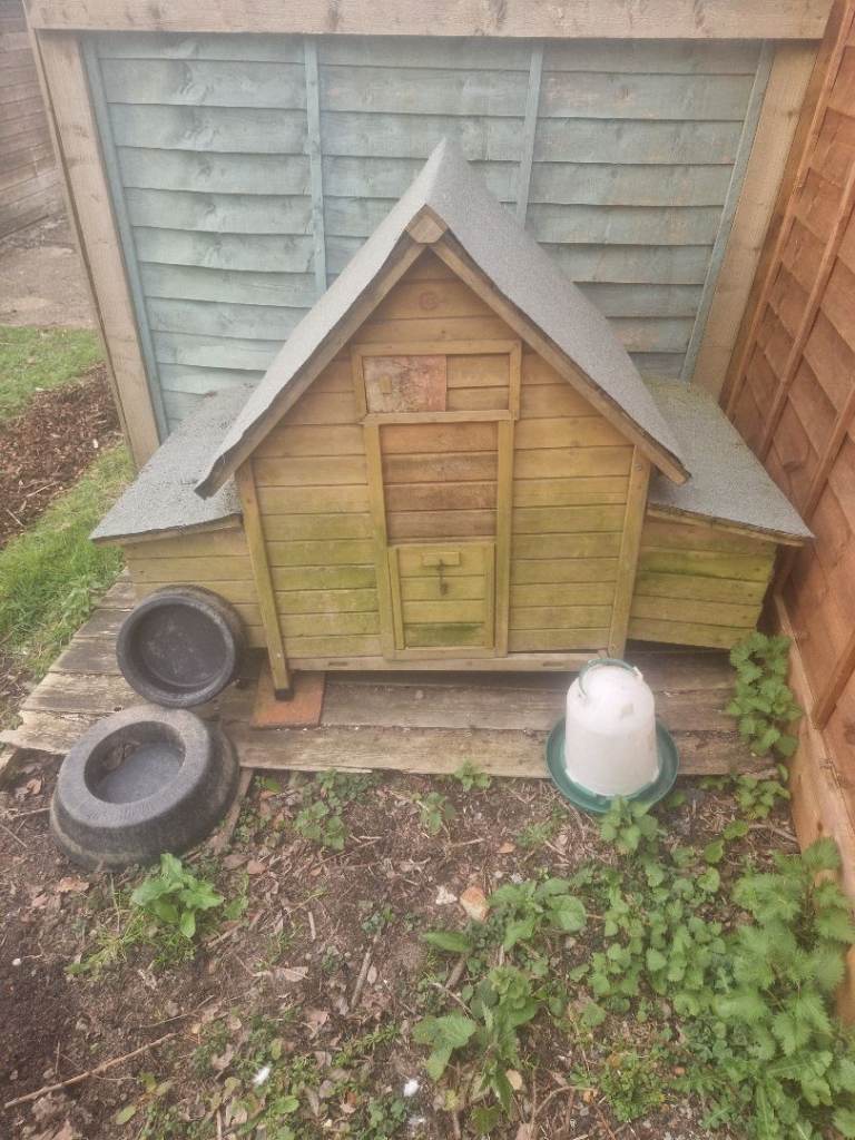 Chicken Coop