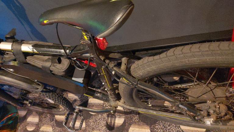Electric bike Carrera 