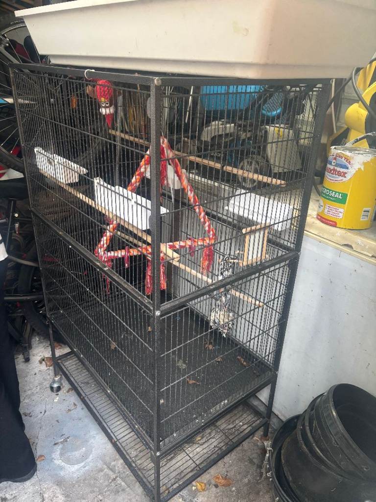 Very large birdcage on wheels. 