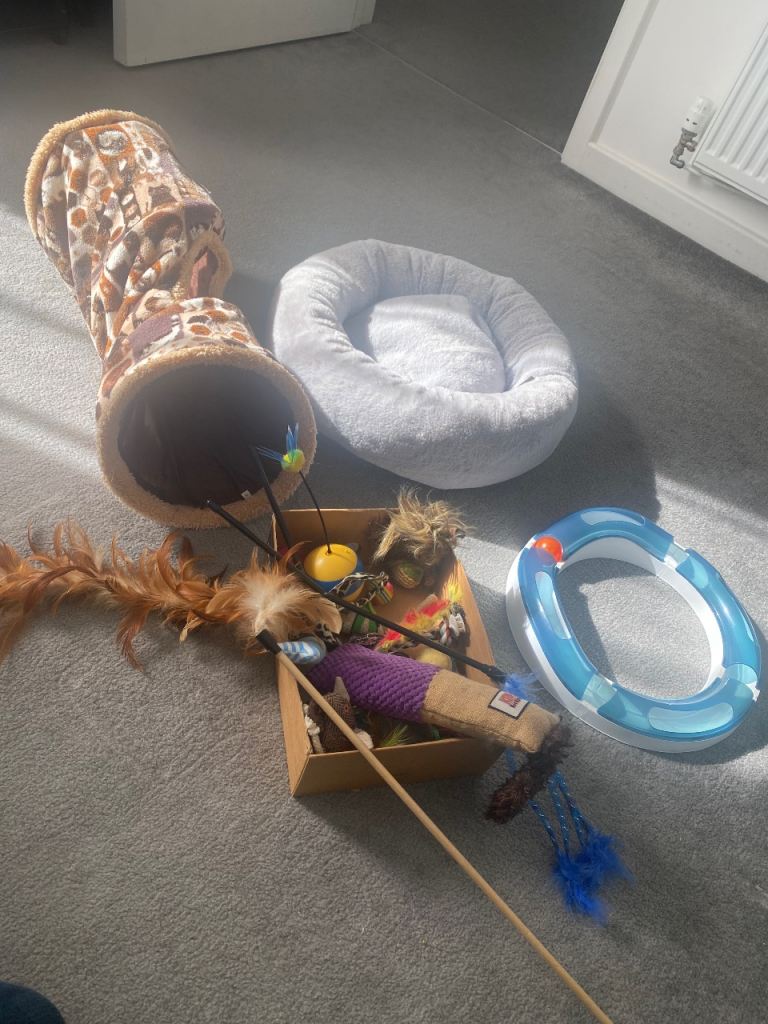 Cat bundle £75