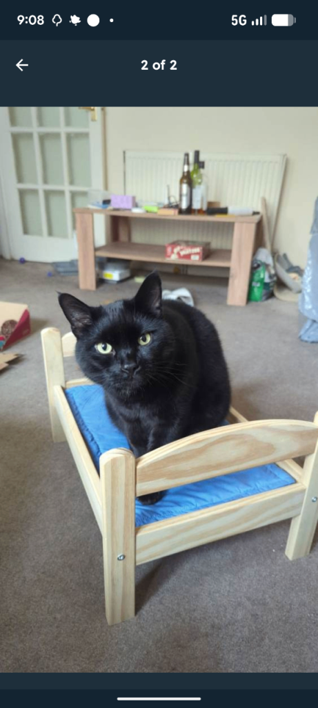 Cat Bed 