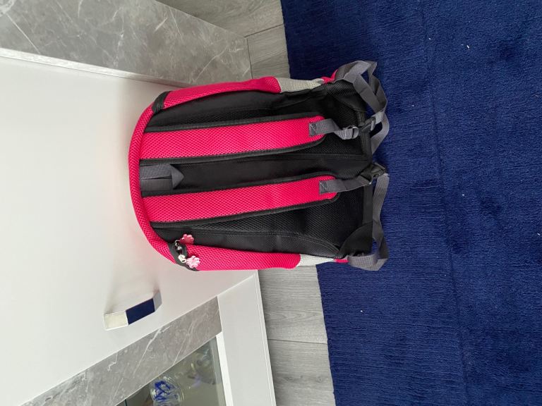 Back pack for carrying small dog 