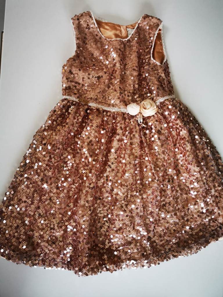 Disney Rose Sequin Dress Christmas Party