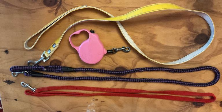 Four dog leads 