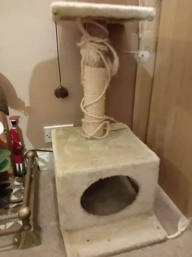 Medium cream fur cat scratching post toy 