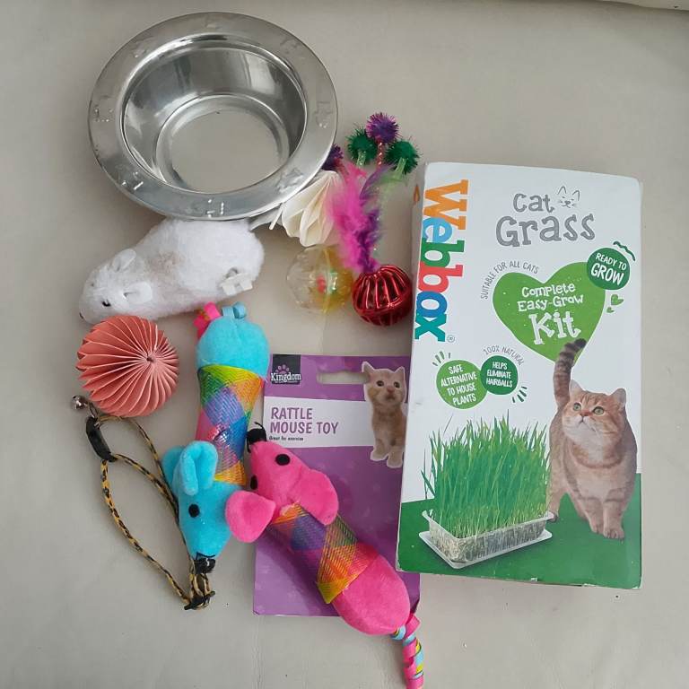 BRAND NEW KITTEN CAT STARTER KIT PACK 2