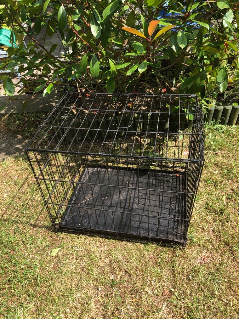 Dog Cage