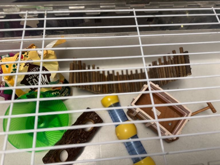 Extra large hamster/ rodent cage with accessories and food wheel tunnel 