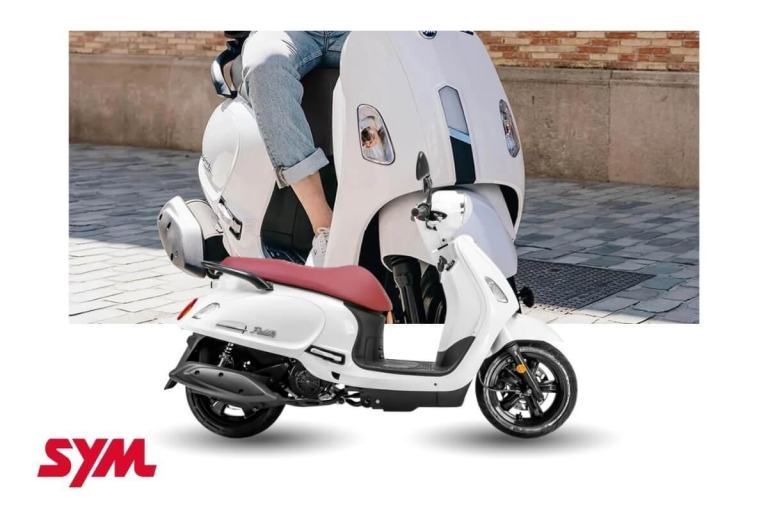 SYM Fiddle 50cc NEW Automatic Moped Scooter  Commuter Learner Legal CBT Frien...