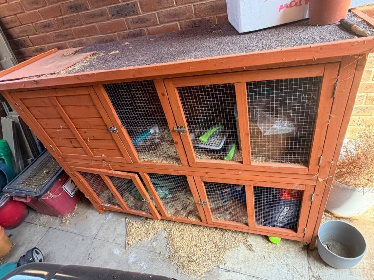 Rabbit /Guinea pig Hutch