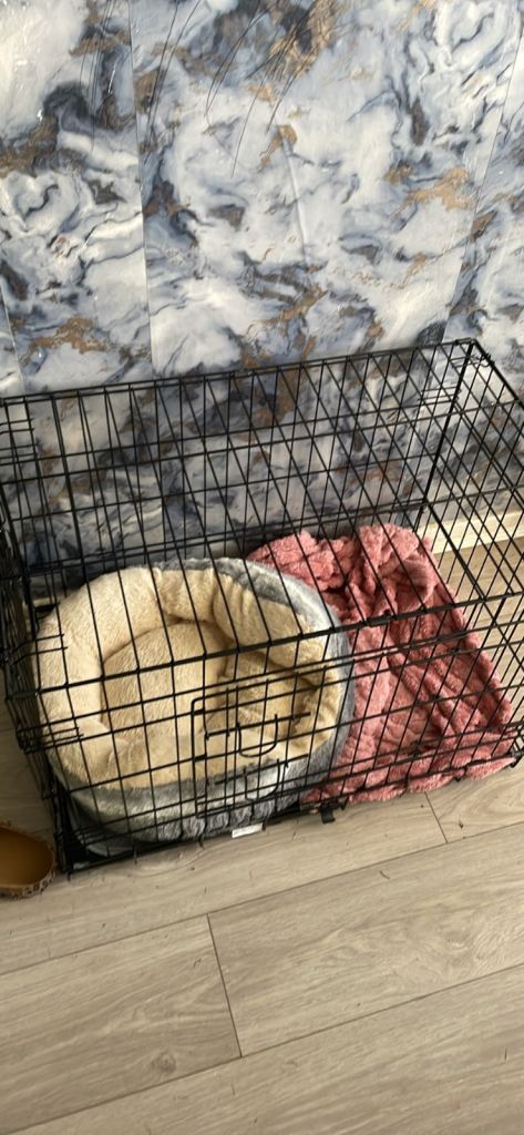 Small dog crate 