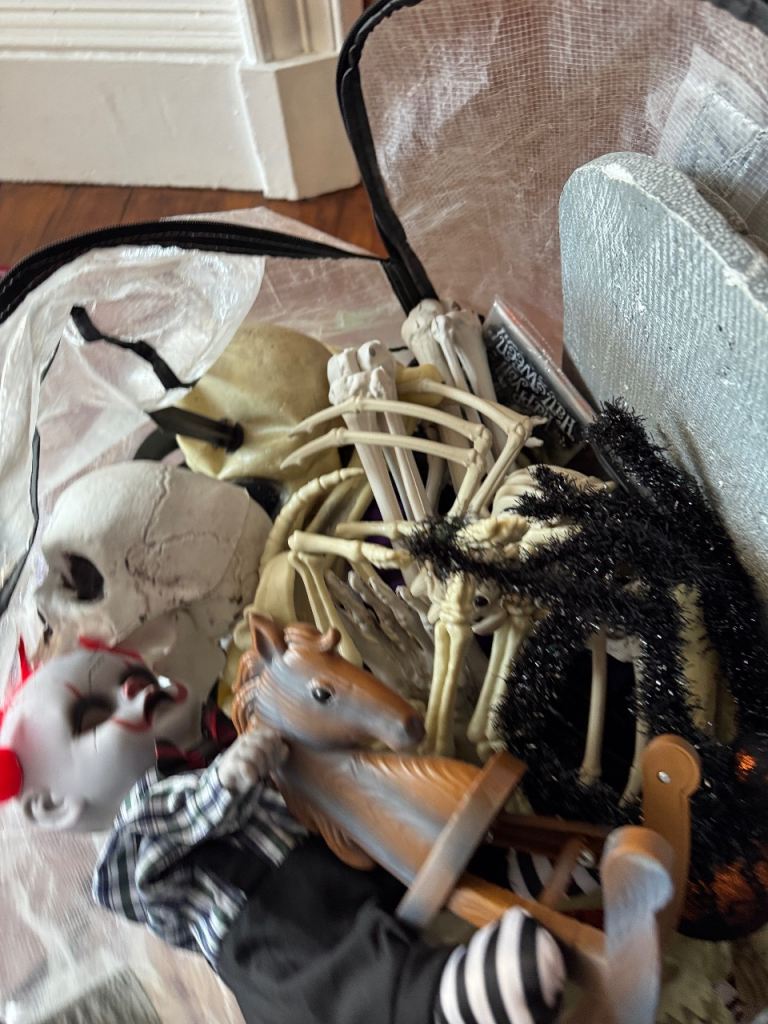 Bag of Halloween decorations 