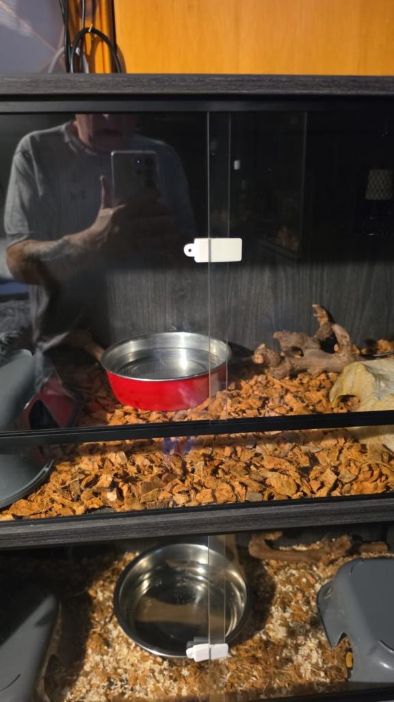Vivarium for Reptiles – 3 or 4 Foot