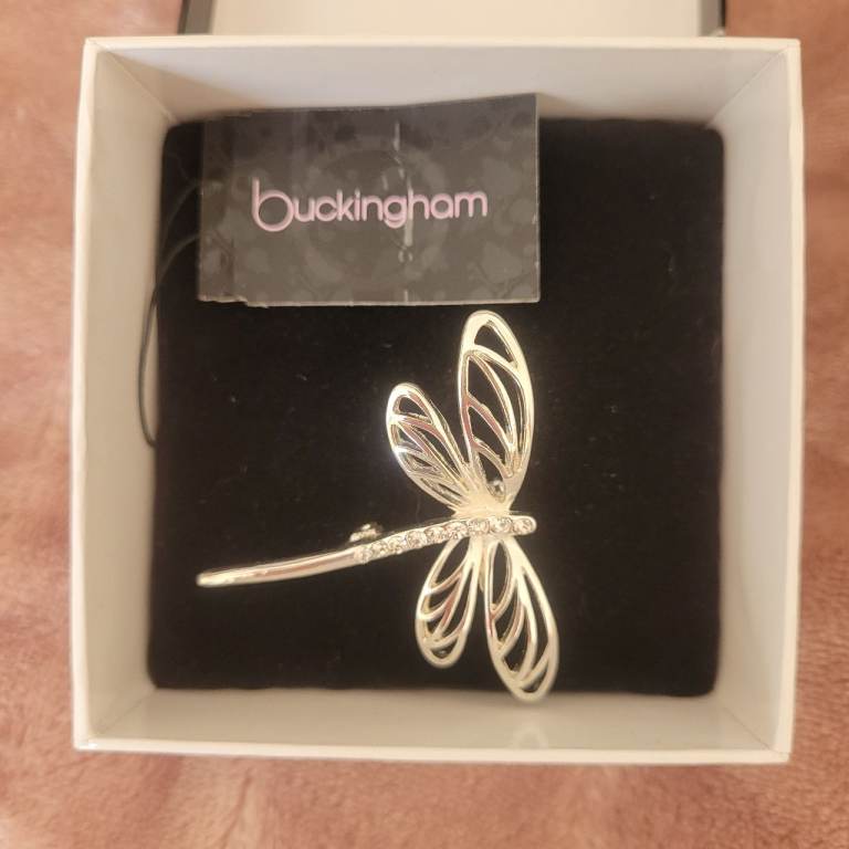 Lovely Dragon fly brooch 