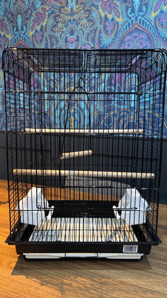 Budgie cage 