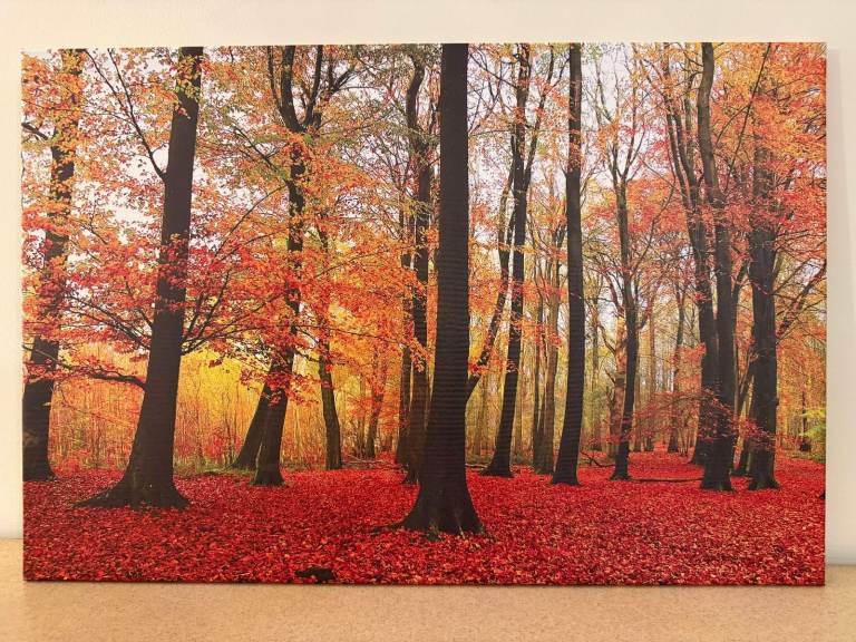 Brand New Canvas Wall Art Prints (20 x 30 Inches)