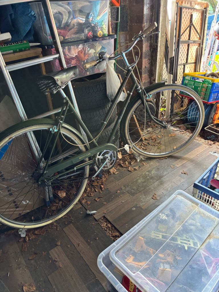Raleigh Ladies Bike