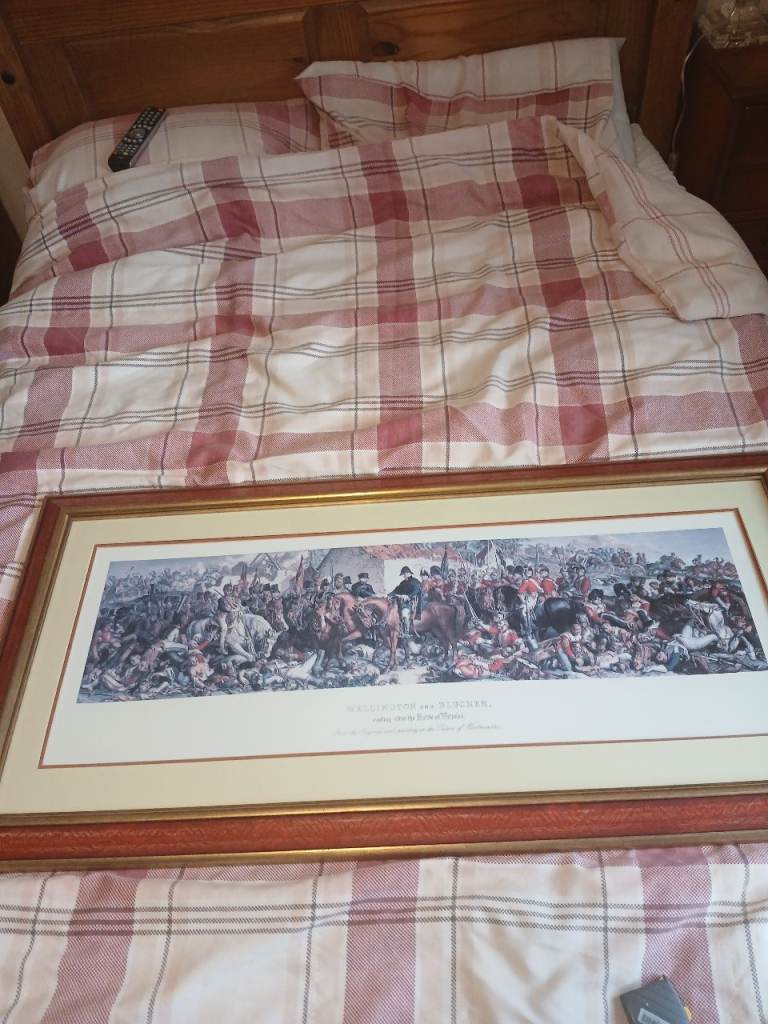 Wellington and blucher