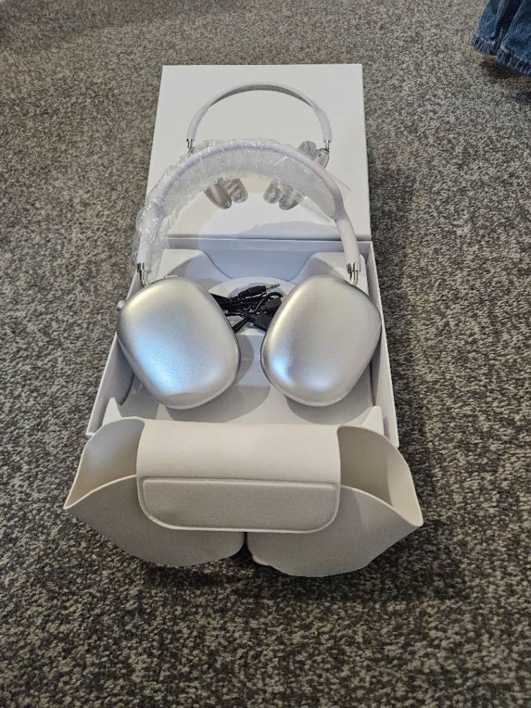 Silver headphones with case