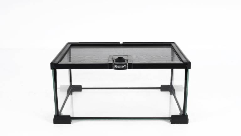 Wanted: Small glass vivarium