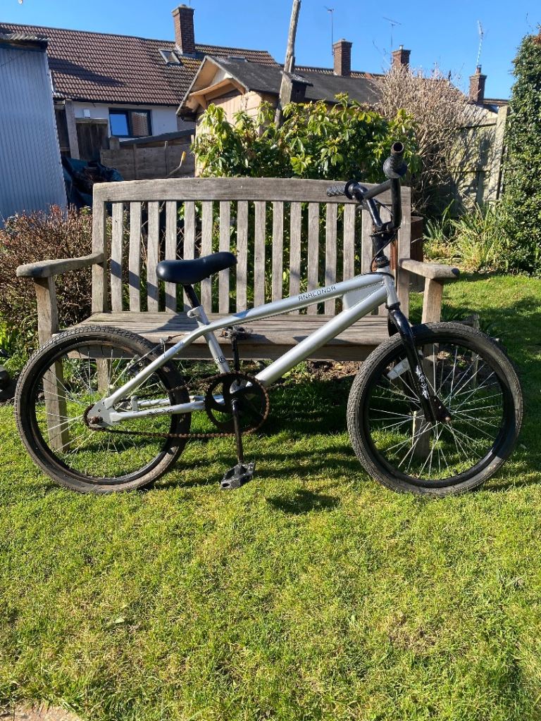 ANACONDA TERRAIN CHILDS silver BIKE preowned