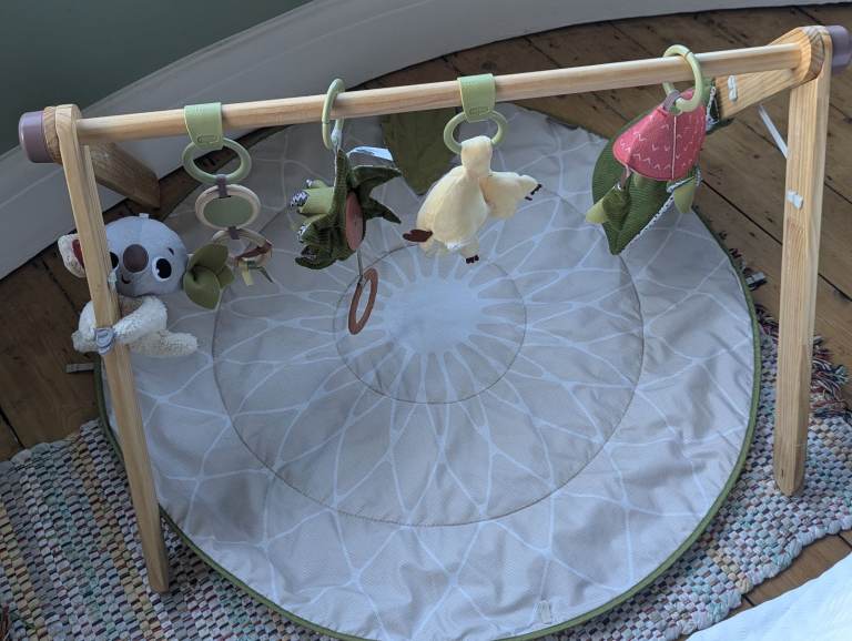 Tiny love chic luxe Gemini play mat